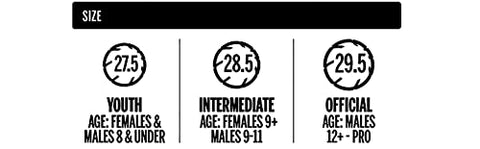 Image of NCAA Street Ball Champion 28.5 Basketball