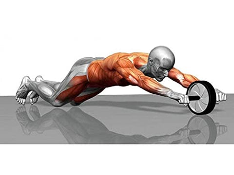 Image of OJS Abs Roller For Abs Exercise Equipment With Knee Mat For Men & Women Abs Wheel For Home Gym, Workouts And Exercise - Belly Fat Burner For Women And Men