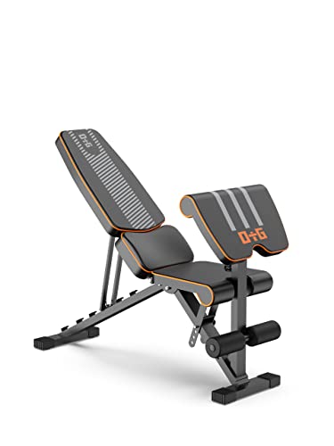 Folding bench best sale preacher with weights