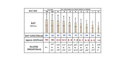 Image of SG Ibat Kashmir Willow Cricket Bat ( Size: Short Handle,Leather Ball )