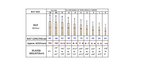 SG RSD Spark Kashmir Willow Cricket Bat, Short Handle (Color May Vary)