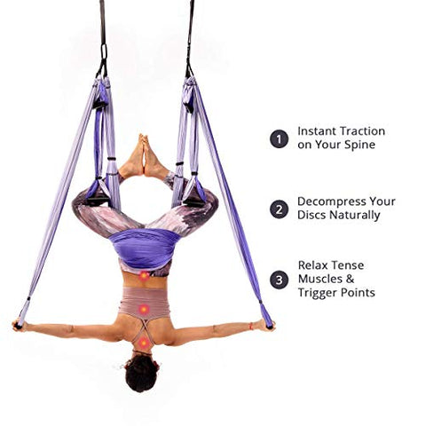 Image of YOGABODY Naturals Yoga Trapeze -Yoga Swing/Sling/Inversion Tool, Purple