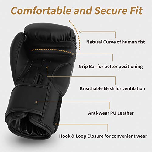 Liberlupus Cool Style Boxing Gloves for Men & Women, Boxing Training Gloves, Kickboxing Gloves, Sparring Gloves, Heavy Bag Gloves for Boxing, Kickboxing, Muay Thai, MMA (Black, 10 oz)