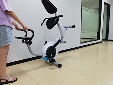 Image of Dolphy Horizontal magnetic control Recumbent exercise bike with 8 Levels Resistance | LCD Monitor, Indoor Cardio Training Workout for Home fitness