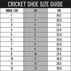 DSC Beamer Cricket Shoe for Men & Boys (Light Weight | Economical | Durable | Size UK: 10) Grey-White
