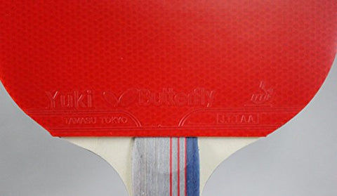 Image of Butterfly Wooden 401 Table Tennis Racket Set - 1 Ping Pong Paddle 1 Ping Pong Paddle Case - Gift Box - ITTF Approved (red, grey, and blue )