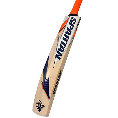 Image of Spartan MSD Edition Grade 3 Kashmir Willow Cricket Bat ( Size: Short Handle,Leather Ball )