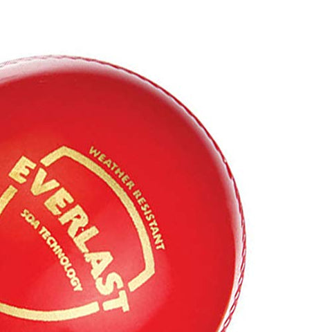 Image of SG Everlast Leather Cricket Ball