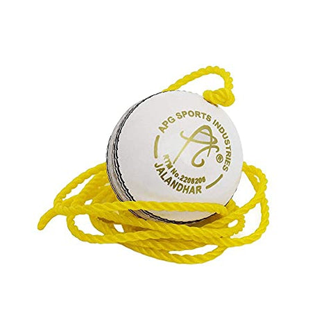 Image of Apg Leather Cricket Hanging Ball, 7 ft, (White)
