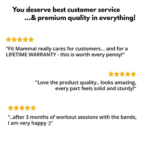 Image of Fit Mammal Resistance Band Set- Warranty for Life- Resistance Bands for Workout for Men & Women- Heavy Resistance Tube & Stretch Band for Exercise- 50+ Exercise Bands E-Book