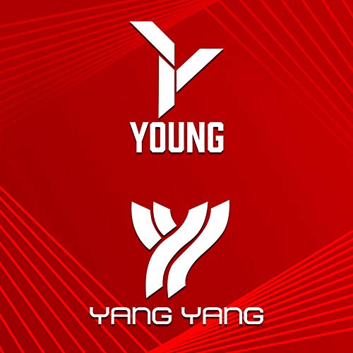 YOUNG (Malaysia) Fury 7 Graphite Lightweight Professional Badminton Racket, Head Light, One Piece High Modulus Graphite , Strung, (Black/Yellow), Includes Full Cover