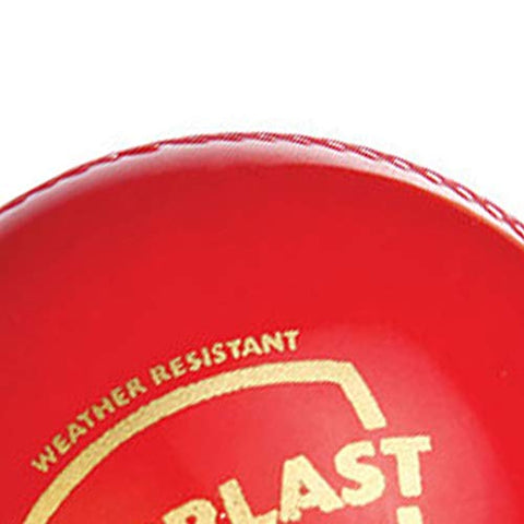 Image of SG Everlast Leather Cricket Ball