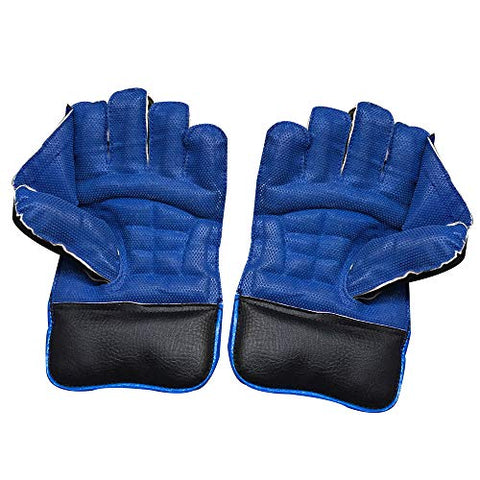 Image of JetFire Ibex College Men's Wicket Keeping Gloves and Inner Gloves Combo (Blue)