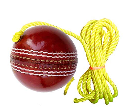 Image of Toyshine SSTP Leather Hanging Cricket Ball for Shot Practice , Red