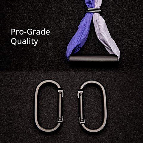 Image of YOGABODY Naturals Yoga Trapeze -Yoga Swing/Sling/Inversion Tool, Purple