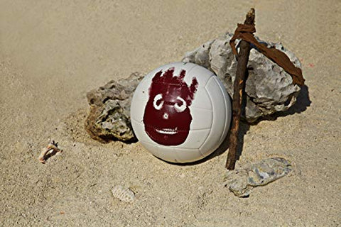 Image of Wilson Cast Away Volleyball (WTH4615)