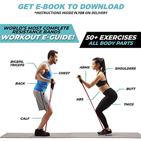 Image of Fit Mammal Resistance Band Set- Warranty for Life- Resistance Bands for Workout for Men & Women- Heavy Resistance Tube & Stretch Band for Exercise- 50+ Exercise Bands E-Book