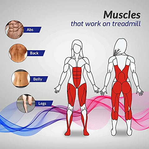 Image of PowerMax Fitness TD-M5 2.5HP (5HP Peak) Pre-installed Motorized Steel Treadmill, Home Use & Automatic Lubrication (Black)