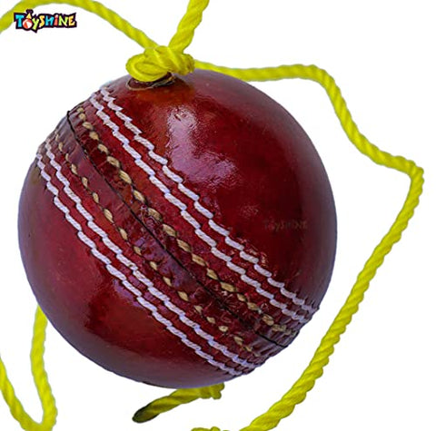 Image of Toyshine SSTP Leather Hanging Cricket Ball for Shot Practice , Red