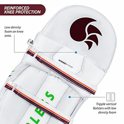 Image of DSC Intense Polyester Attitude Cricket Batting Leg Guard Boy's Right, White