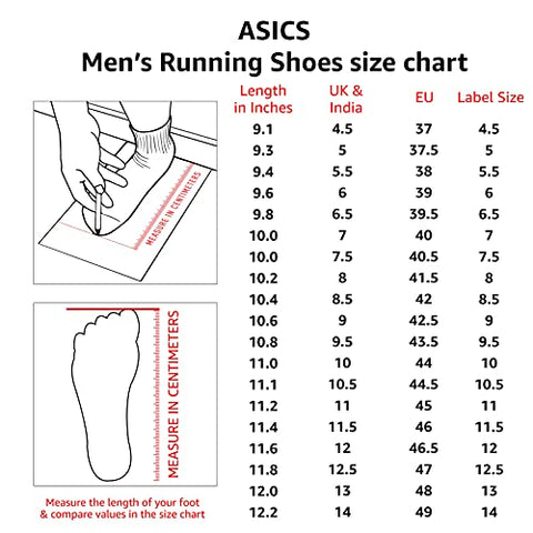 Image of ASICS Men Gel-Moya MX Sheet Rock/Black Running Shoes-11 UK (46.5 EU) (12 US) (1011A595)