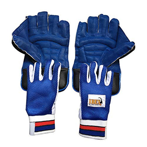 Image of JetFire Ibex College Men's Wicket Keeping Gloves and Inner Gloves Combo (Blue)