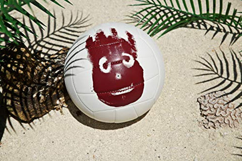Image of Wilson Cast Away Volleyball (WTH4615)