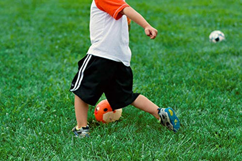 Image of Daball Toddler Soccer Ball (Terry The Fox)