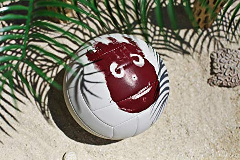 Image of Wilson Cast Away Volleyball (WTH4615)