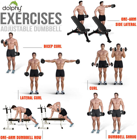 Image of Dolphy Chrome Iron Adjustable Fitness Dumbbell Set for Home Gym (20 Kg)