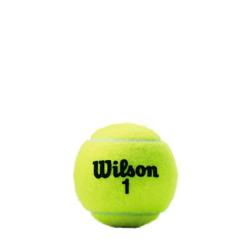 Wilson WRT100101 Tennis Ball (Green)