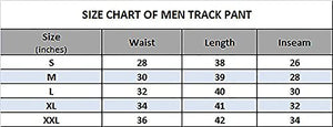 THE ARCHER Men's Cotton Regular Fit Track Pant (M, Navy)