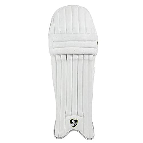 SG Campus Batting Leg Guards, Adult (Assorted)&SG ecolite Adult Cricket Batting Gloves (Colour May Vary)