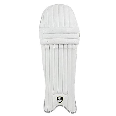 Image of SG Campus Batting Leg Guards, Adult (Assorted)&SG ecolite Adult Cricket Batting Gloves (Colour May Vary)