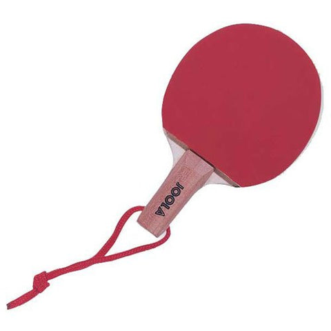Image of JOOLA Mini Racket