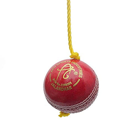 Image of APG String Ball Leather Hanging Cricket Ball , 7 ft, (Red)