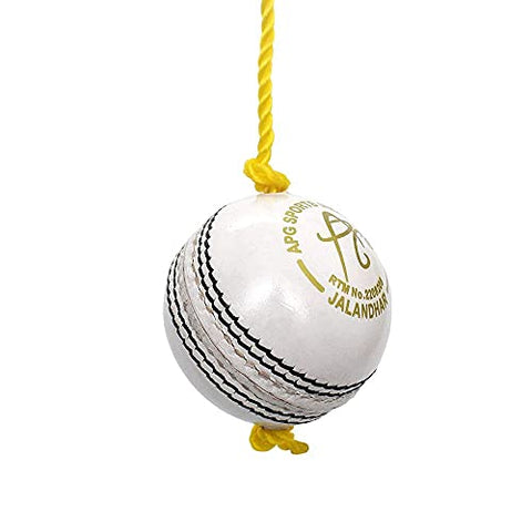 Image of Apg Leather Cricket Hanging Ball, 7 ft, (White)
