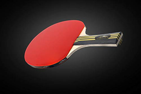 Image of Ping Pong Paddle Set of 4 - Table Tennis Racket for Indoor and Outdoor - Portable Ping Pong Paddles and Balls - Professional Rackets for Table Top Tennis - Ping Pong Accessories for All Levels