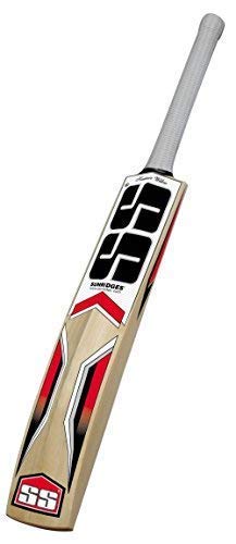 SS Master Kashmir Willow Cricket Bat, Short Handle