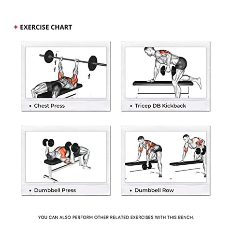 Image of National Bodyline Fitness Gym Bench Full Body Workout Machine