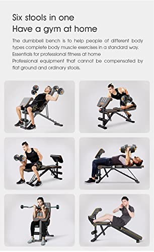 OtG ON THE GO 6 in 1 Multi-Functional Weight Strength Training Foldable Incline Decline Exercise Preacher Bench for Home Gym (Black, Orange) - Max Weight Capacity: 300 Kg