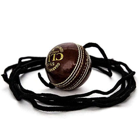 Image of Pro Impact Cricket Balls (Leather Training with Cord (1 Ball))