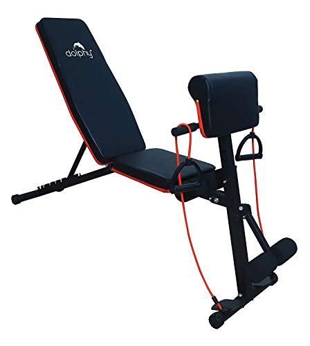 DOLPHY Adjustable Weight Bench for Full Body Workout, Foldable Flat/Incline/Decline Home Gym Exercise Sit up Bench (Red and Black) 100 kg