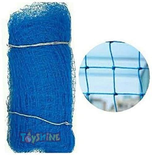 Toyshine Cricket Net for Practice, 60 feet x10 feet Size, ROOF NOT Included - Blue Color (SSTP)