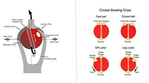 Jaspo T-20 Pvc Cricket Ball, 110 gram, (Red).