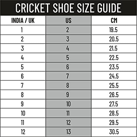Image of DSC Beamer Cricket Shoe for Men & Boys (Light Weight | Economical | Durable | Size UK: 10) Grey-White