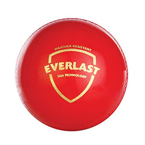 SG Everlast Leather Cricket Ball