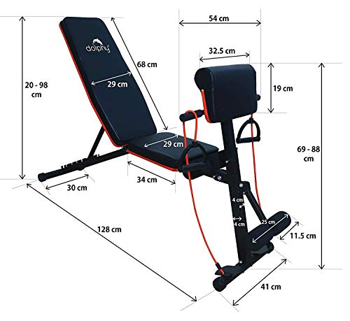 DOLPHY Adjustable Weight Bench for Full Body Workout, Foldable