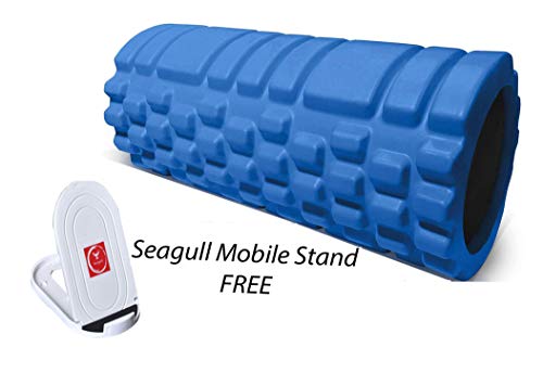 Seagull Flight of Fashion Foam Rollers for Deep Tissue Massage, Exercise, Fitness, Back Pain, and Physiotherapy- 33cm x 15cm- Blue