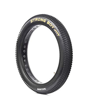 Ralson Nylon Strong Boy MTB Cycle Good Grip Fat Tyre (26 X 4-inch, Black)